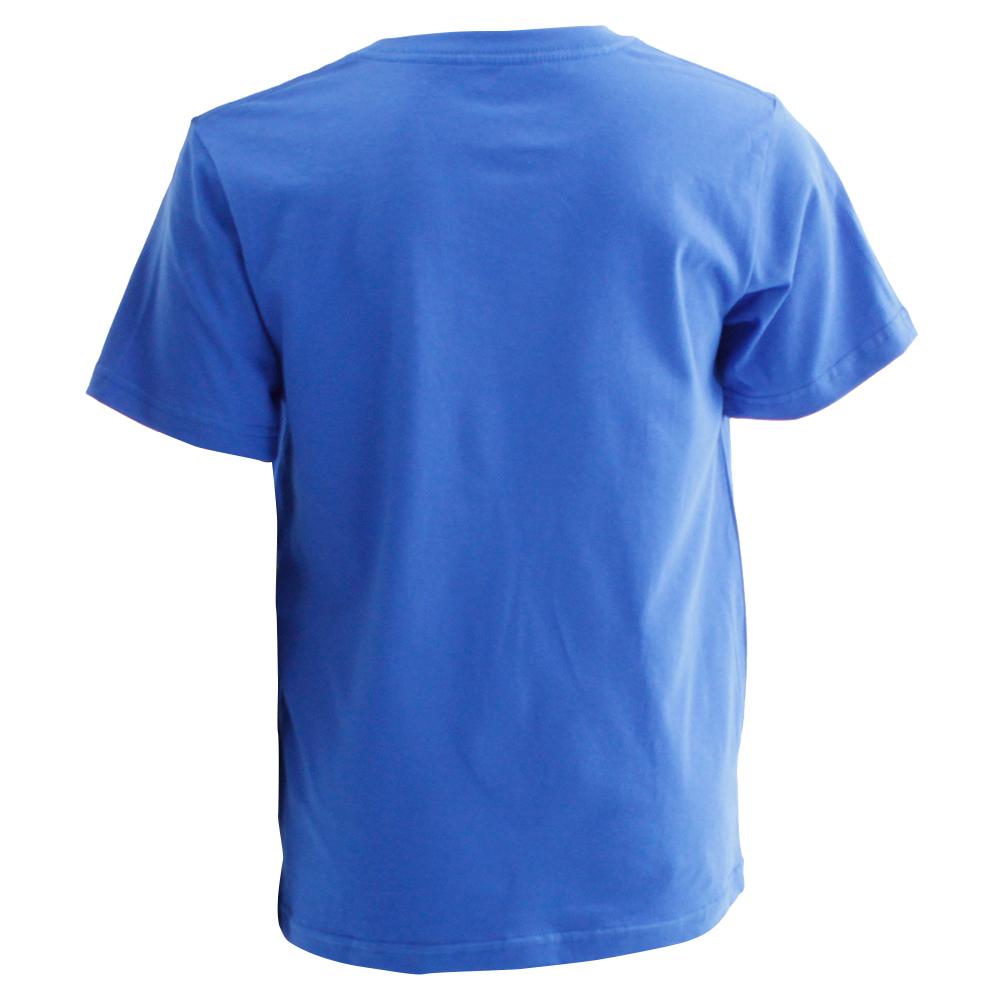 Kids' Salomon ACHIEVE SS B T Shirts Blue | HQJZXC-378