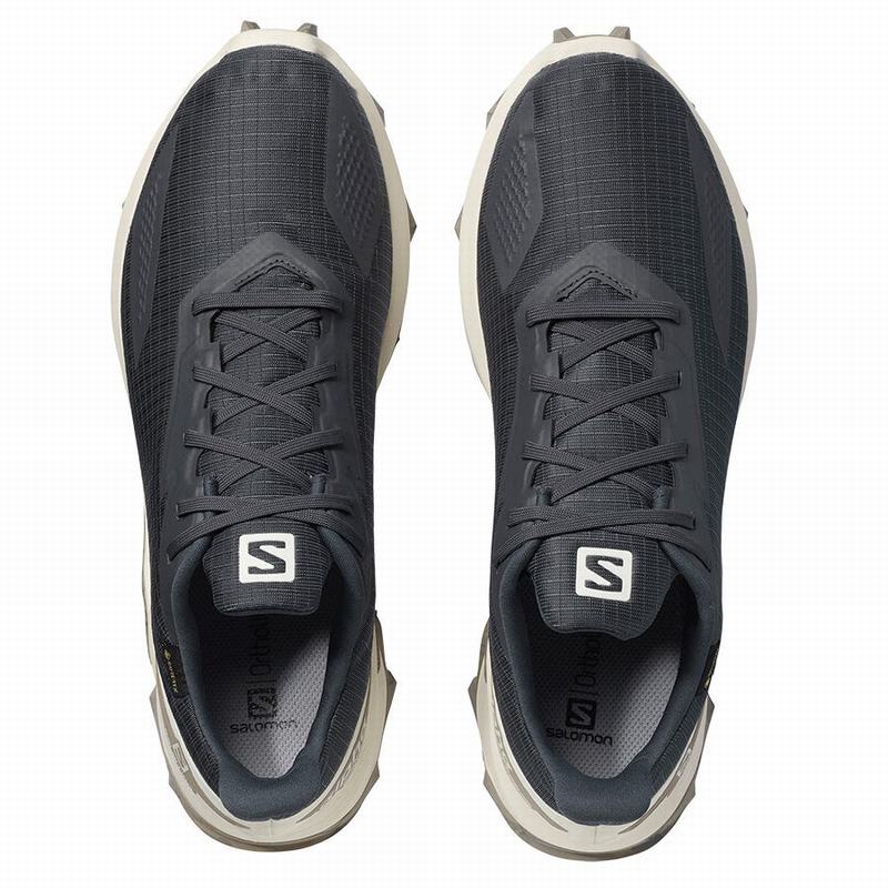 Men's Salomon ALPHACROSS BLAST GTX Trail Running Shoes Dark Grey | EPMAXN-235