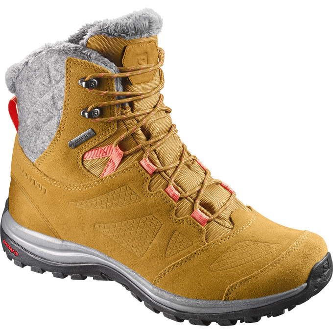 Men\'s Salomon ELLIPSE GTX Winter Boots Brown | OMTIQE-376