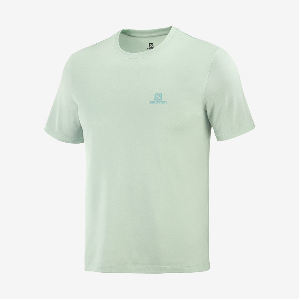 Men's Salomon EXPLORE M Short Sleeve T Shirts Blue | CLTKFY-362