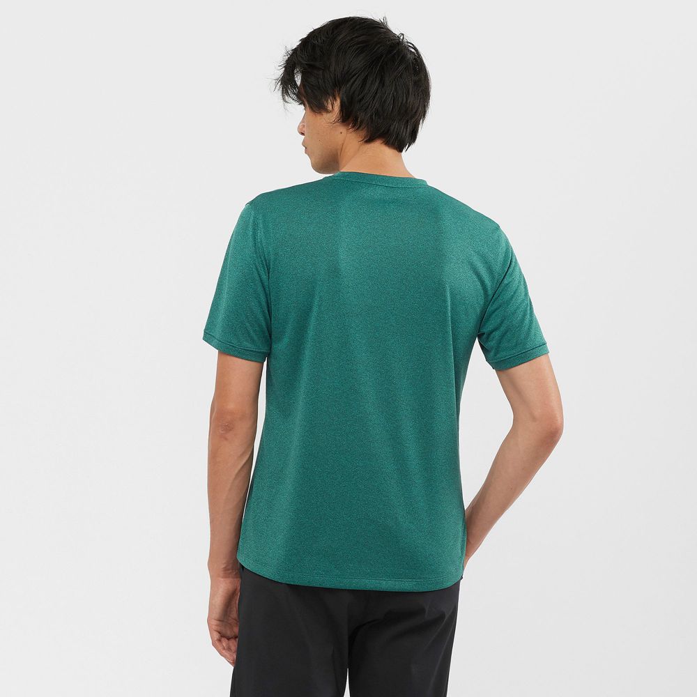 Men's Salomon EXPLORE M Short Sleeve T Shirts Green | YPMARZ-438