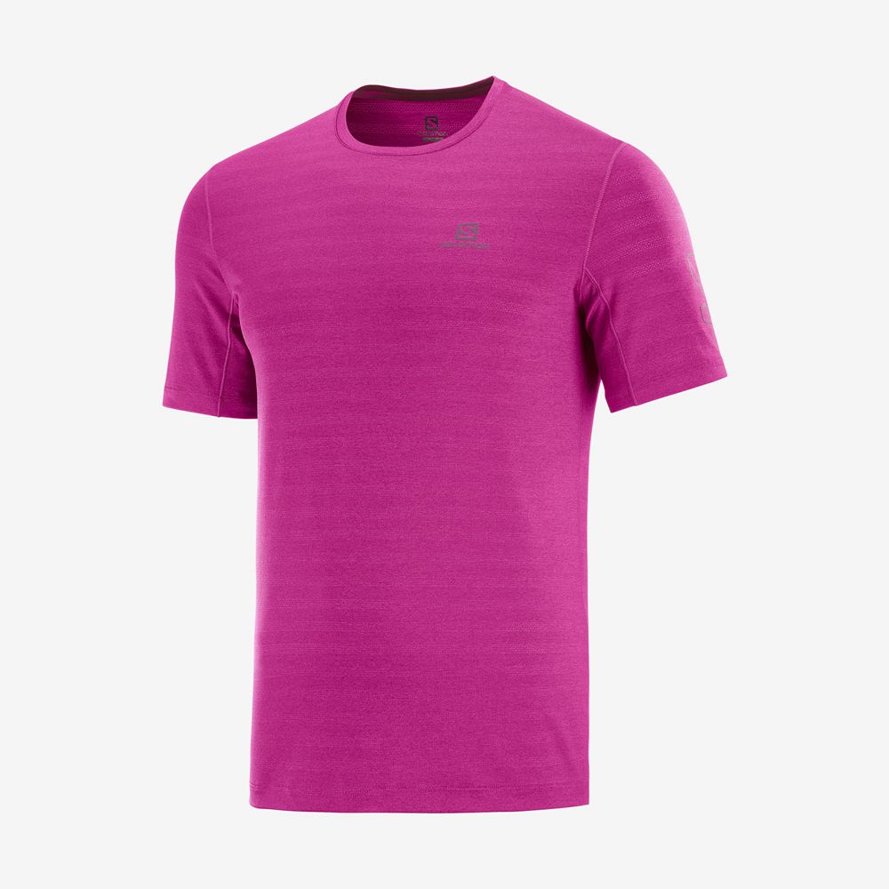 Men's Salomon OUTLINE New Trail Running Gear T Shirts Purple | FNHDYJ-856