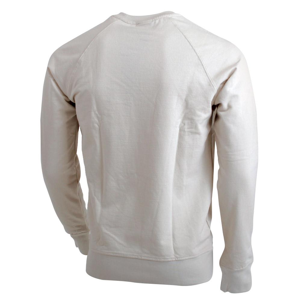 Men's Salomon PROCEED M Pullover White | DJEQSG-378