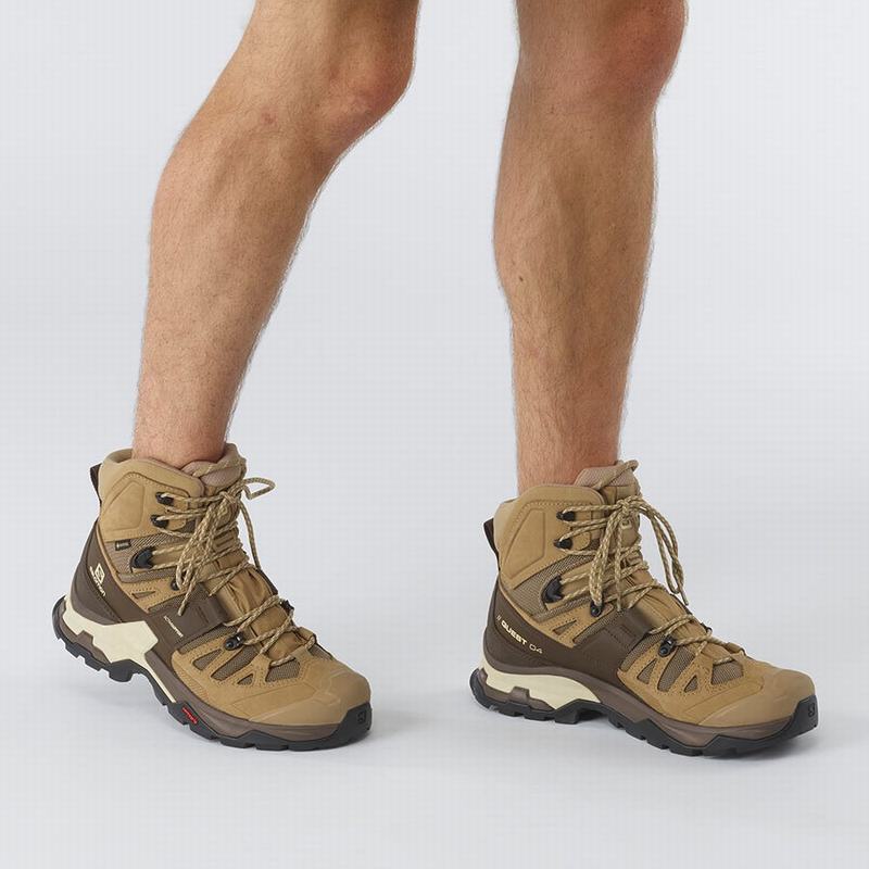 Men's Salomon QUEST 4 GORE-TEX Hiking Boots Brown | LICJVP-063