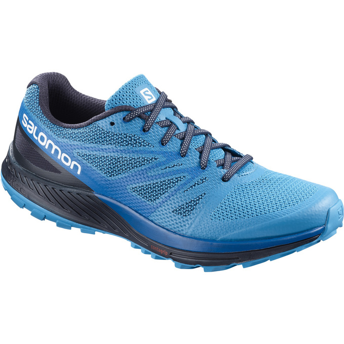 Men\'s Salomon SENSE ESE Trail Running Shoes Blue / Navy | IBHNDM-146