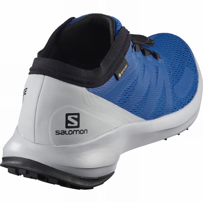 Men's Salomon SENSE FLOW GTX Trail Running Shoes Blue | OTLDMC-615