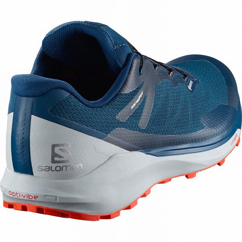 Men's Salomon SENSE RIDE 3 GTX INVIS. FIT Running Shoes Navy | HLCRSN-827