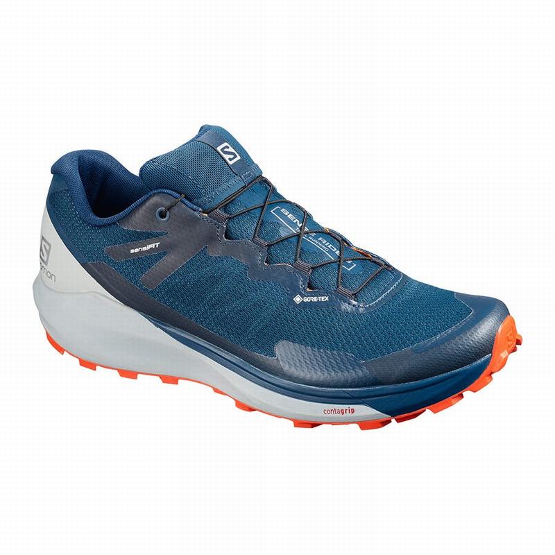 Men\'s Salomon SENSE RIDE 3 GTX INVIS. FIT Trail Running Shoes Navy | RASVFK-459