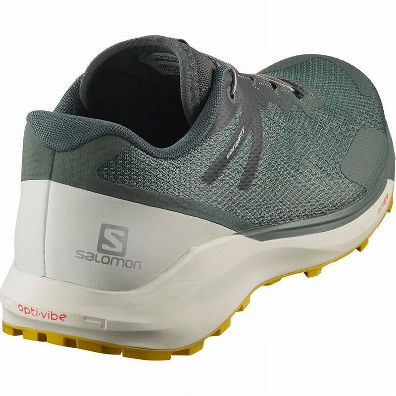 Men's Salomon SENSE RIDE 3 Running Shoes Olive | LTDMPO-574