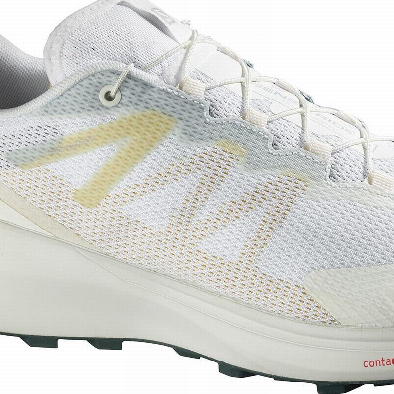 Men's Salomon SENSE RIDE 3 Trail Running Shoes White | IFVNUB-613