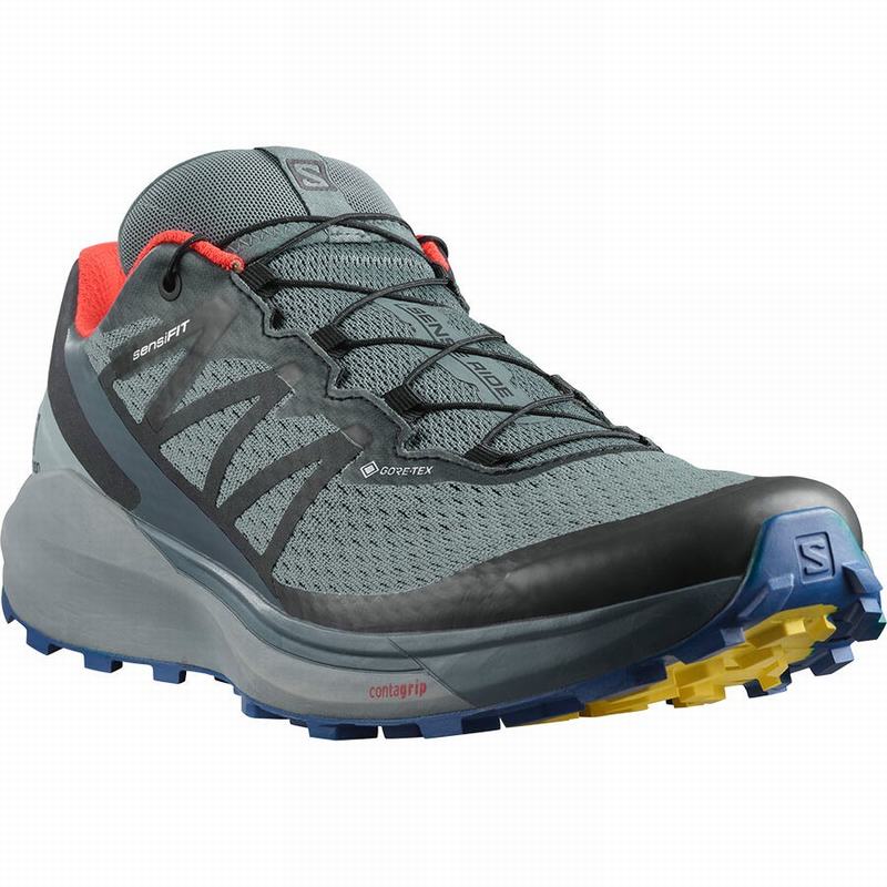 Men's Salomon SENSE RIDE 4 GORE-TEX INVISIBLE FIT Trail Running Shoes Dark Blue / Black | GHIJST-571