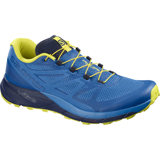 Men\'s Salomon SENSE RIDE Trail Running Shoes Blue / Navy | GOSRVQ-725