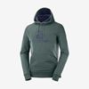 Men's Salomon SHIFT HOODIE M Midlayers Green | IHJPCY-473