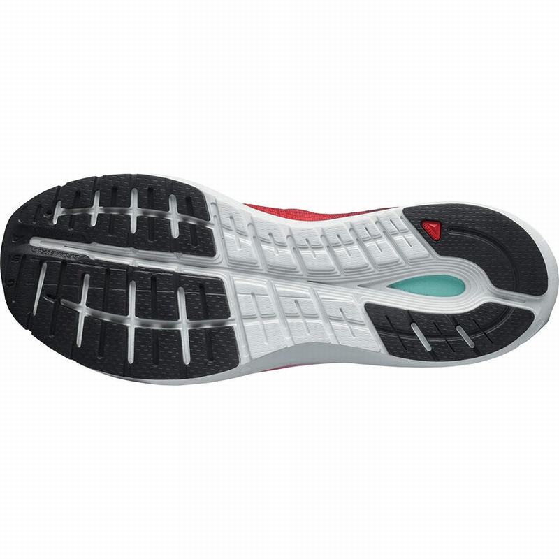 Men's Salomon SONIC 4 ACCELERATE Running Shoes White / Black | FPWZUD-169