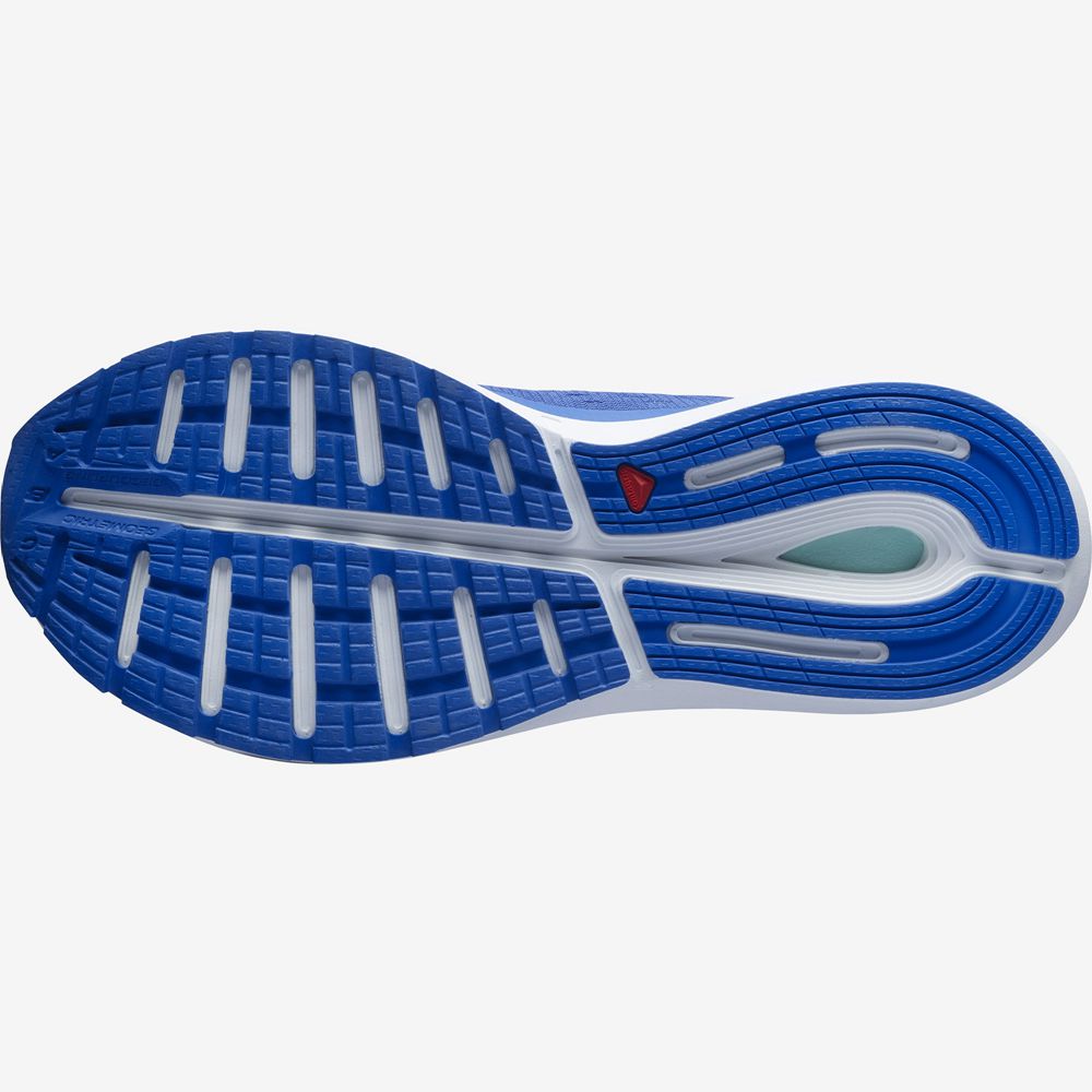 Men's Salomon SONIC 4 BALANCE Road Running Shoes Blue | DWHFNR-105