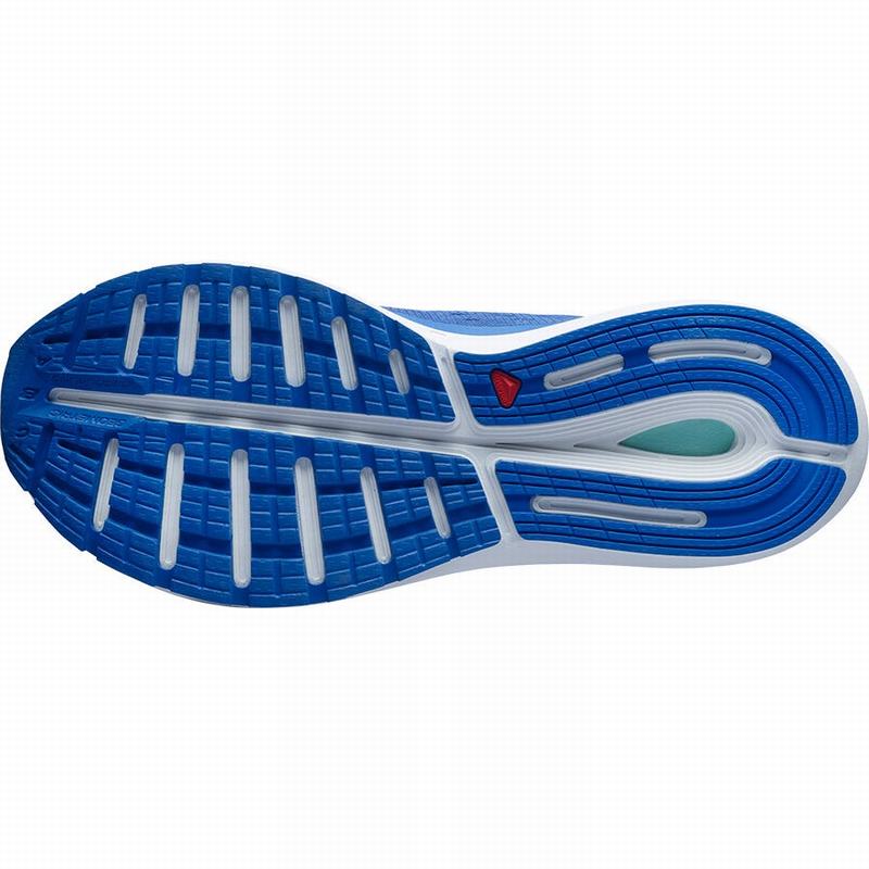 Men's Salomon SONIC 4 BALANCE Road Running Shoes Blue / White | NSQTPZ-802