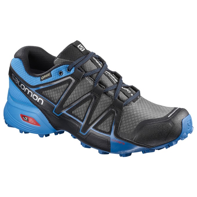 Men\'s Salomon SPEEDCROSS VARIO 2 GTX Trail Running Shoes Silver / Blue | RLYBNU-763