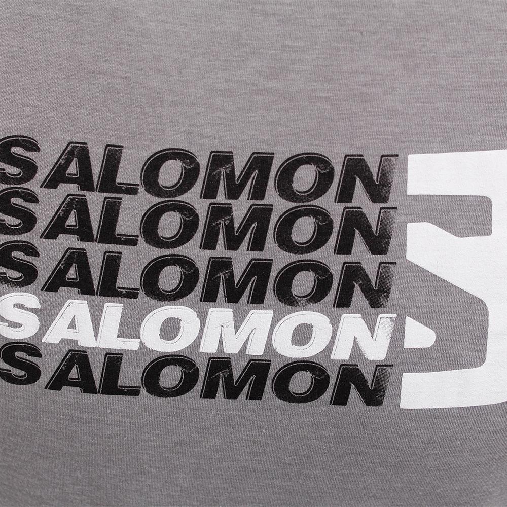 Men's Salomon STANDOUT SS M T Shirts Grey | CEAFHQ-364