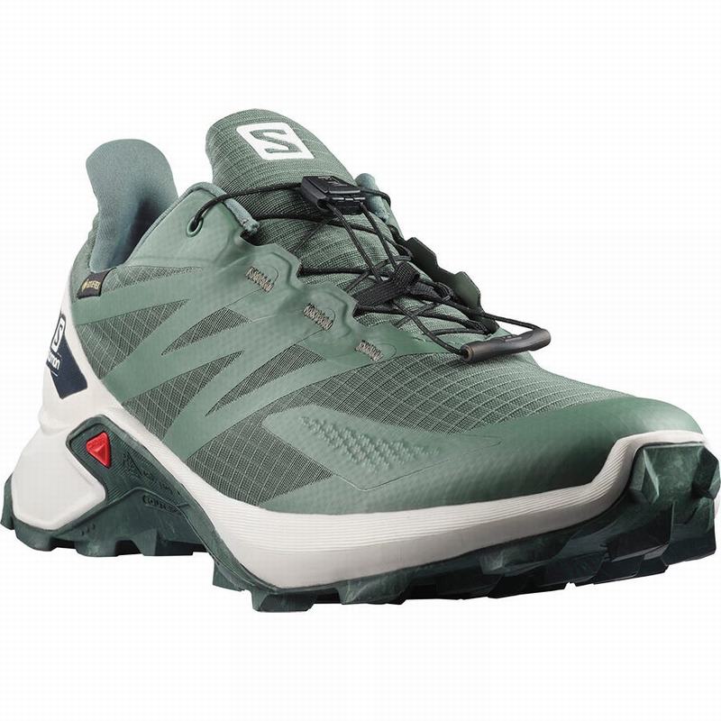 Men's Salomon SUPERCROSS BLAST GTX Trail Running Shoes Green | TAEMXD-683
