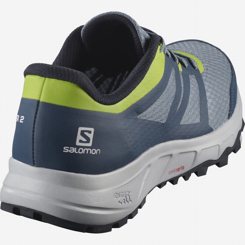 Men's Salomon TRAILSTER 2 Trail Running Shoes Blue Grey / Navy | REGVUX-108