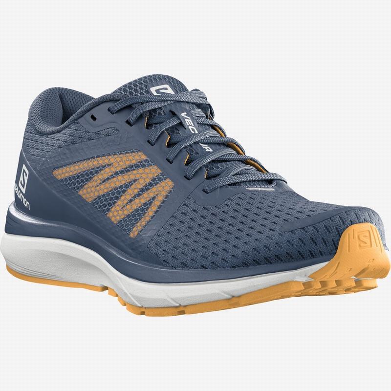 Men's Salomon VECTUR Running Shoes Navy / White | IXNFSY-074