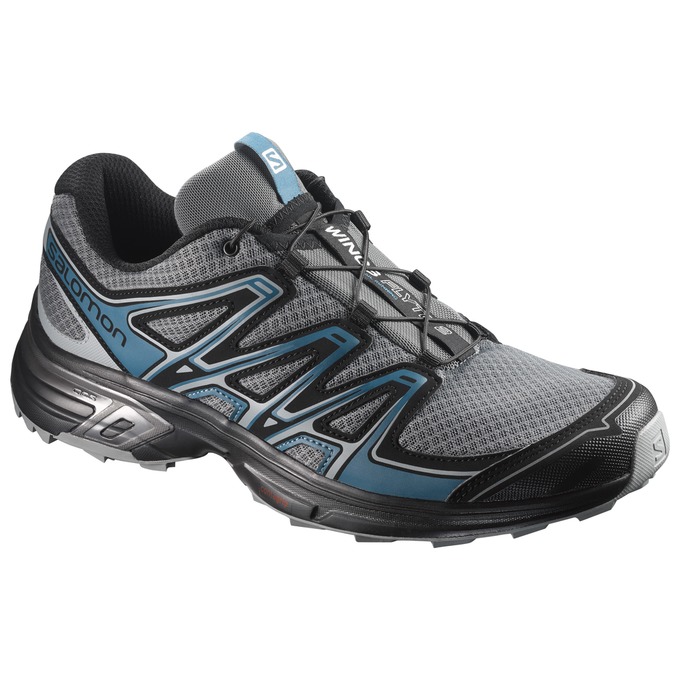 Men\'s Salomon WINGS FLYTE 2 Trail Running Shoes Silver / Black | ZPNIBK-350