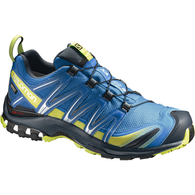 Men\'s Salomon XA PRO 3D GTX Trail Running Shoes Blue | VTFIGE-605