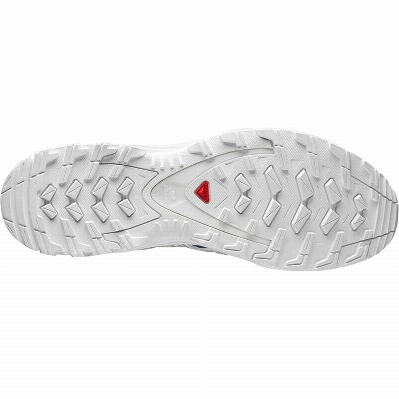 Men's Salomon XA PRO 3D Trail Running Shoes White / Blue | PEAUMB-368