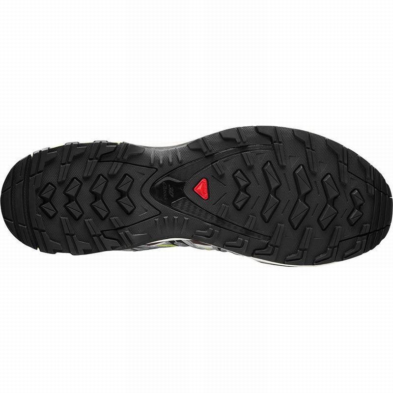 Men's Salomon XA PRO 3D Trail Running Shoes Silver / Light Green | PXBSIJ-804