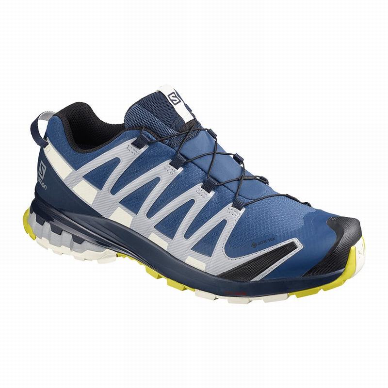 Men\'s Salomon XA PRO 3D V8 GORE-TEX Hiking Shoes Navy | NEUJFI-876