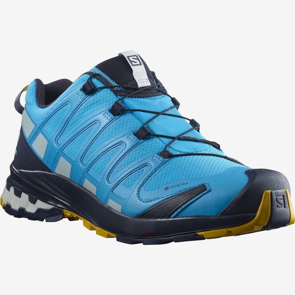 Men's Salomon XA PRO 3D V8 GORE-TEX Hiking Shoes Blue | TFAZXB-423