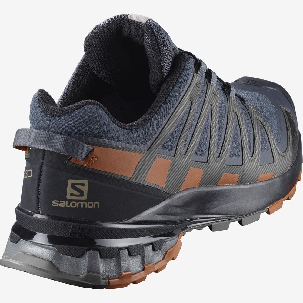 Men's Salomon XA PRO 3D V8 GORE-TEX Trail Running Shoes Multicolor | BSVFUZ-867