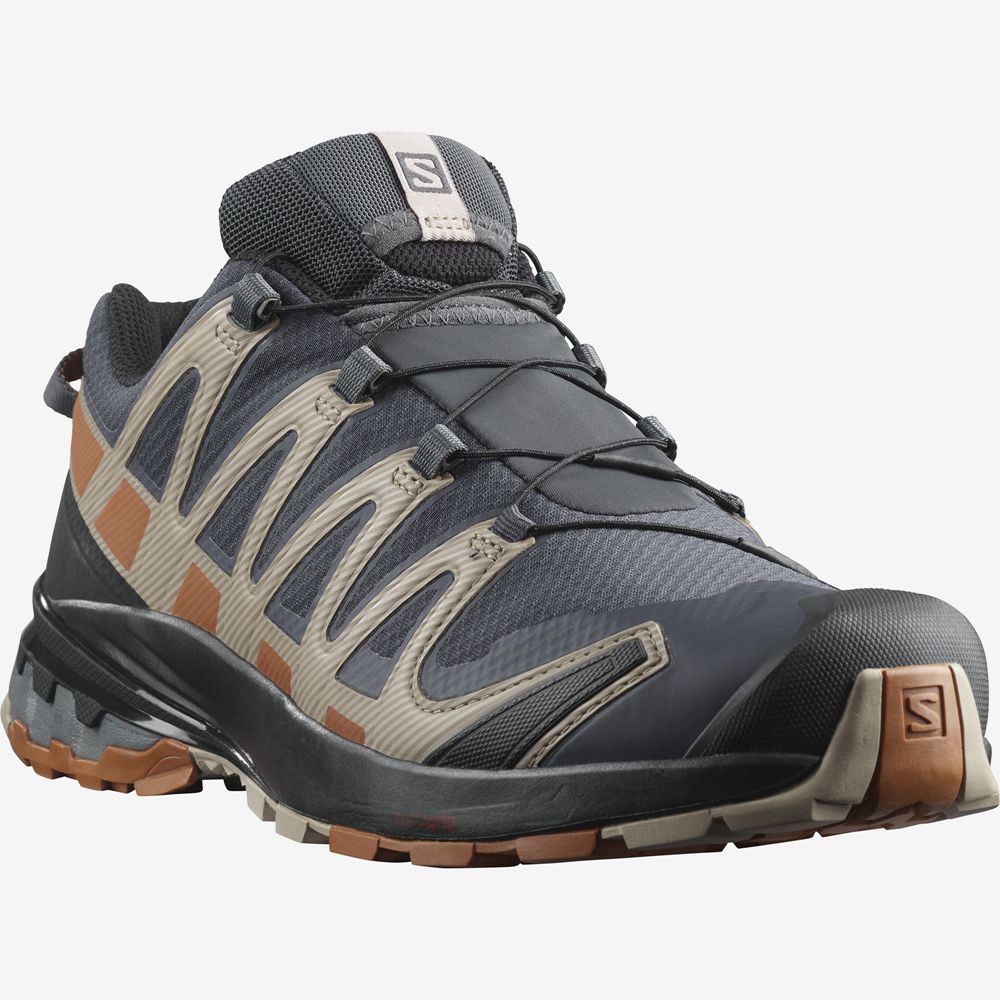 Men's Salomon XA PRO 3D V8 GORE-TEX Trail Running Shoes Multicolor | BSVFUZ-867