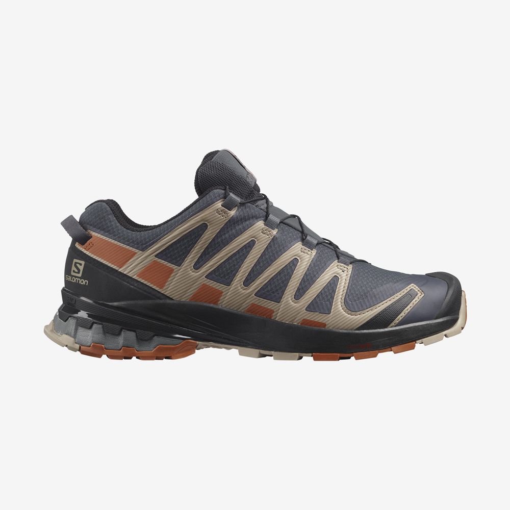 Men\'s Salomon XA PRO 3D V8 GORE-TEX Trail Running Shoes Multicolor | BSVFUZ-867