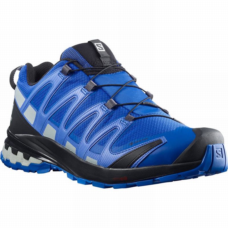 Men's Salomon XA PRO 3D V8 GORE-TEX Trail Running Shoes Black / Blue | DPAHBZ-129