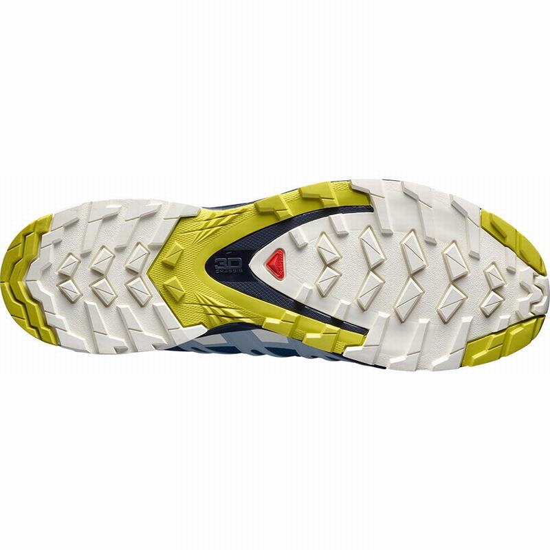 Men's Salomon XA PRO 3D V8 GORE-TEX Trail Running Shoes Navy | GJNRCP-604