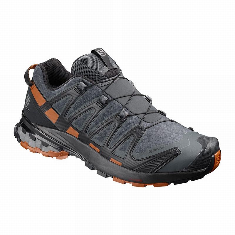 Men\'s Salomon XA PRO 3D V8 GORE-TEX Trail Running Shoes Dark Blue / Black | NMXWGB-094