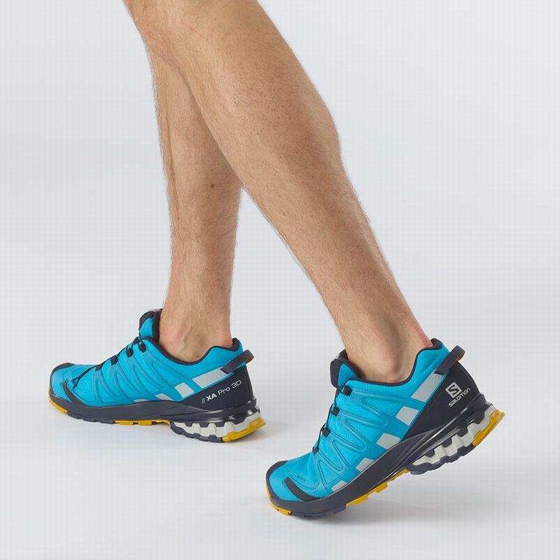 Men's Salomon XA PRO 3D V8 GORE-TEX Trail Running Shoes Blue | VDXYBW-624