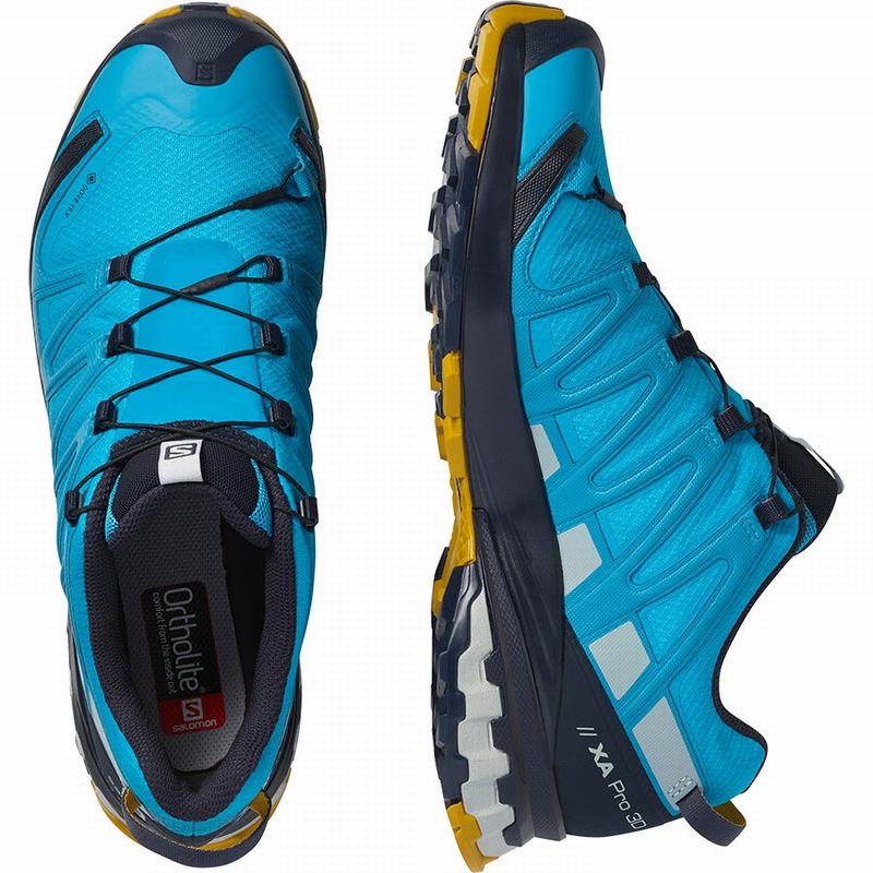 Men's Salomon XA PRO 3D V8 GORE-TEX Trail Running Shoes Blue | VDXYBW-624