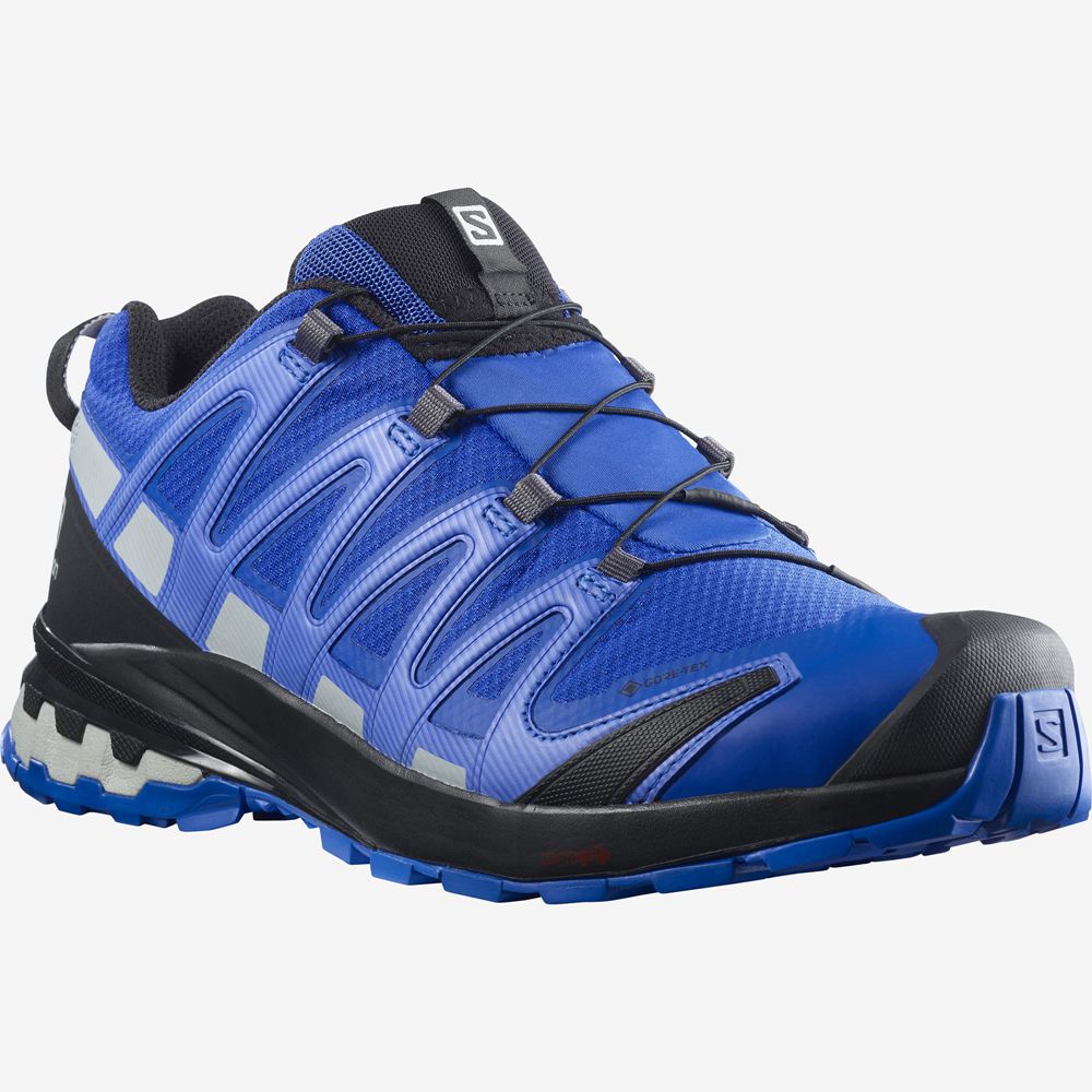 Men's Salomon XA PRO 3D V8 GORE-TEX Trail Running Shoes Blue | XMGJSL-602
