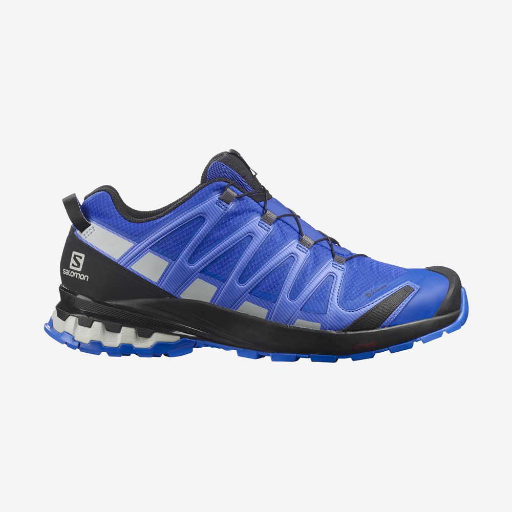 Men\'s Salomon XA PRO 3D V8 GORE-TEX Trail Running Shoes Blue | XMGJSL-602