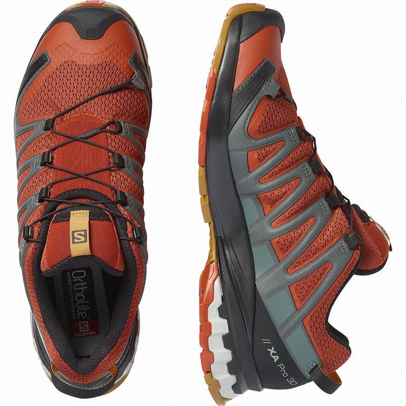 Men's Salomon XA PRO 3D V8 Trail Running Shoes Black | KJCUBA-196