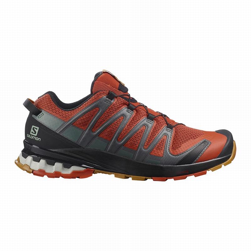 Men\'s Salomon XA PRO 3D V8 Trail Running Shoes Black | KJCUBA-196