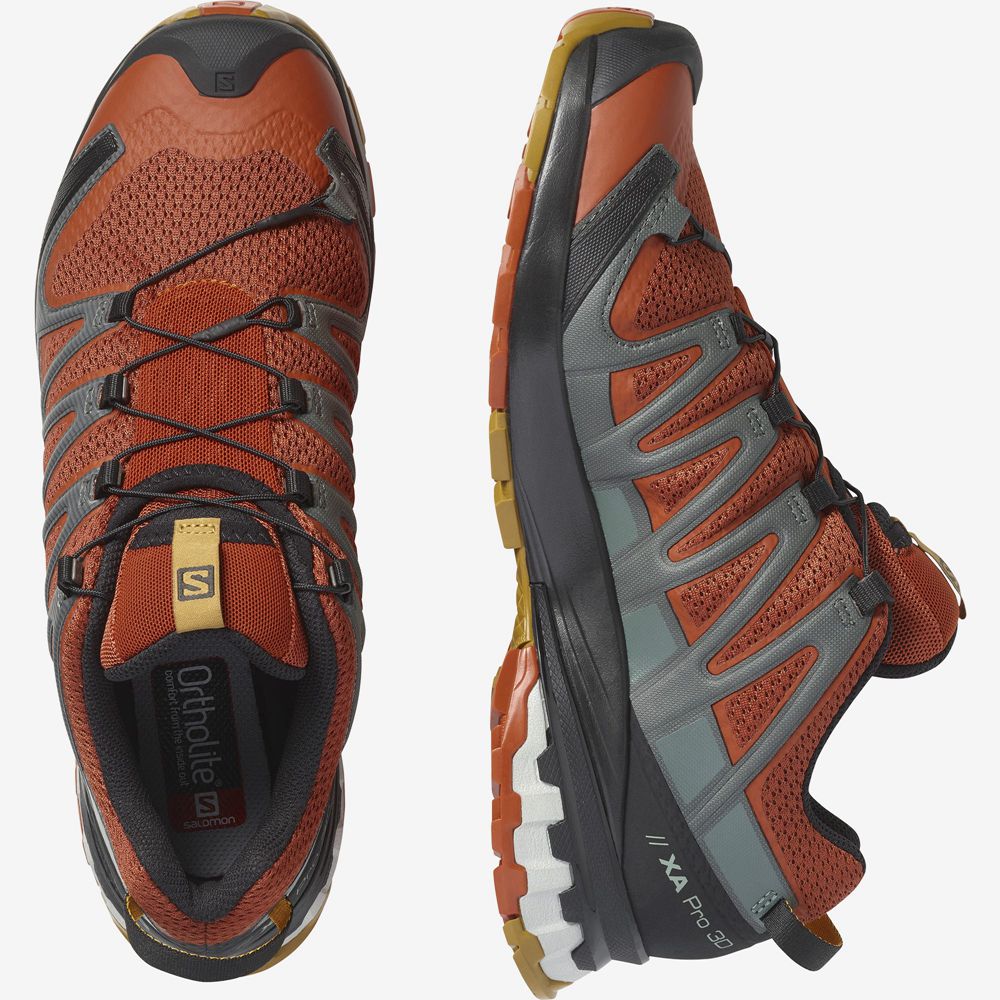 Men's Salomon XA PRO 3D V8 Trail Running Shoes Orange | MEUVKF-092