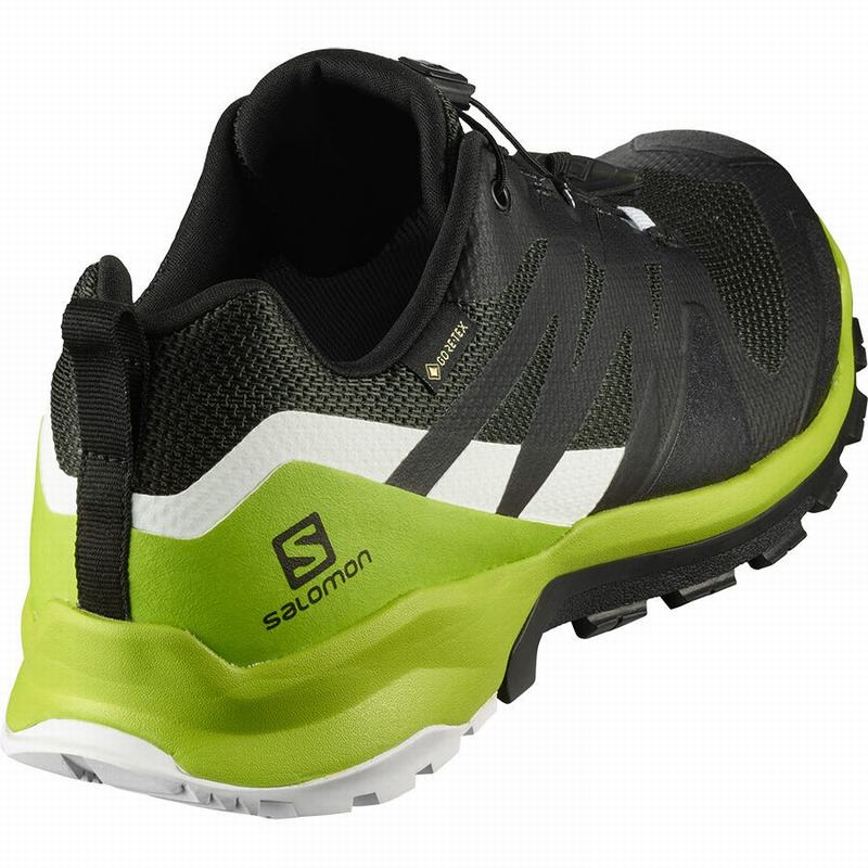 Men's Salomon XA ROGG GTX Hiking Shoes Black / Light Green | SEPNQV-045