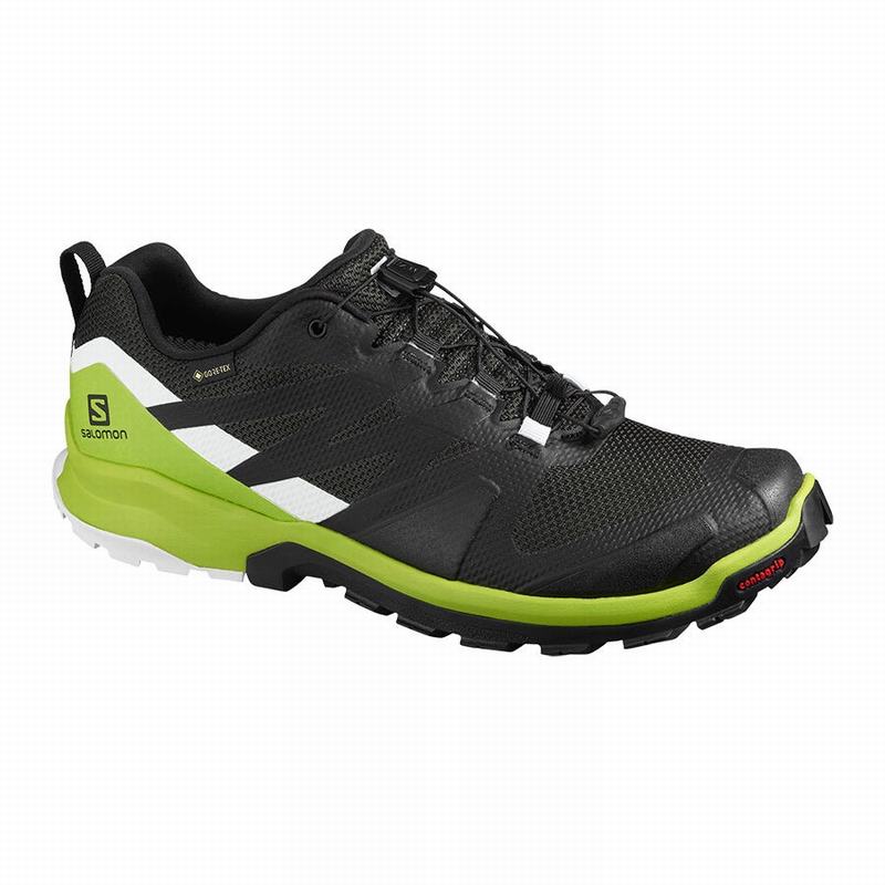 Men\'s Salomon XA ROGG GTX Hiking Shoes Black / Light Green | SEPNQV-045