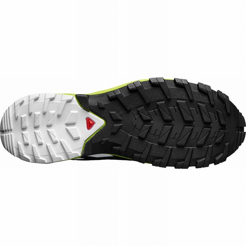 Men's Salomon XA ROGG GTX Trail Running Shoes Pink | UAJEKZ-295