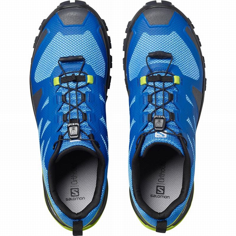 Men's Salomon XA ROGG Hiking Shoes Indigo / Black | ISEZWH-409