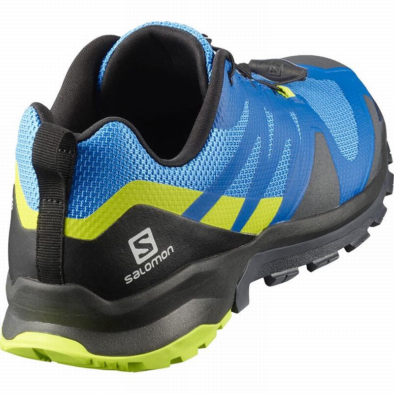 Men's Salomon XA ROGG Trail Running Shoes Blue / Black | BADUZX-382