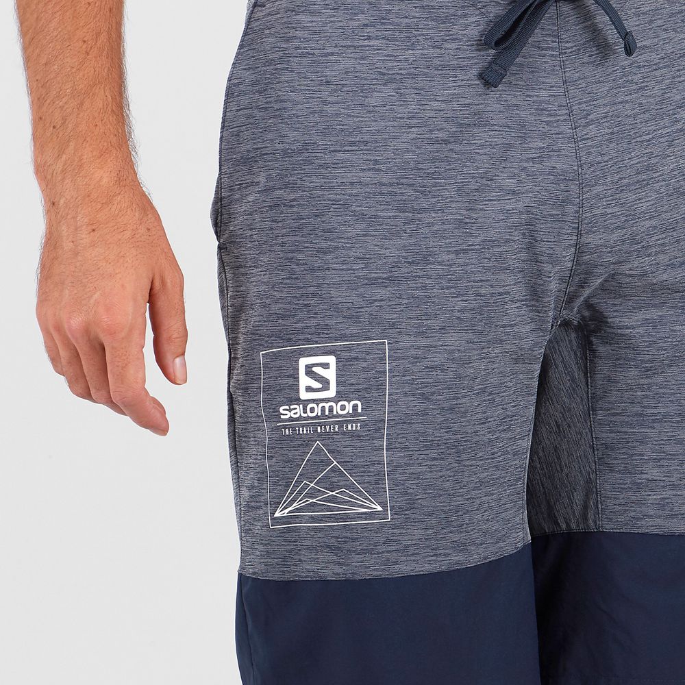 Men's Salomon XA TRAINING Shorts Grey / Navy | IKBAJN-706